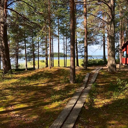 Luontohotelli Sapson Helmi Sotkamo Eksteriør billede